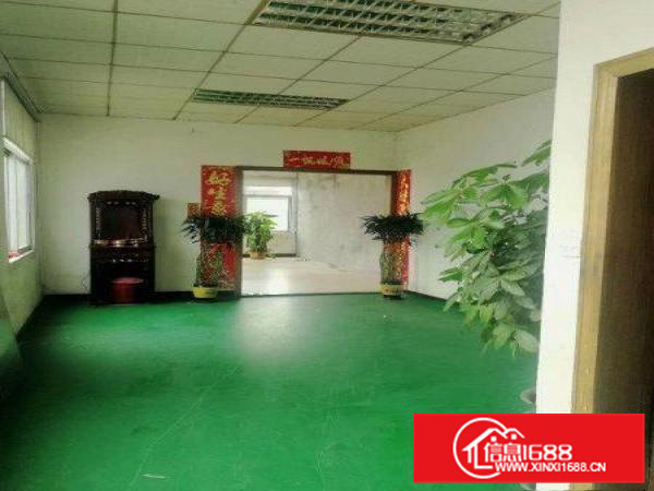 石湾镇标准独院厂房出租2100消防喷淋包办环评