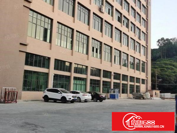 大岭山全新标准一楼厂房出租