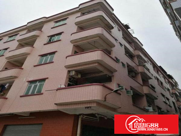 出租横沥独栋水电齐全适合小企业