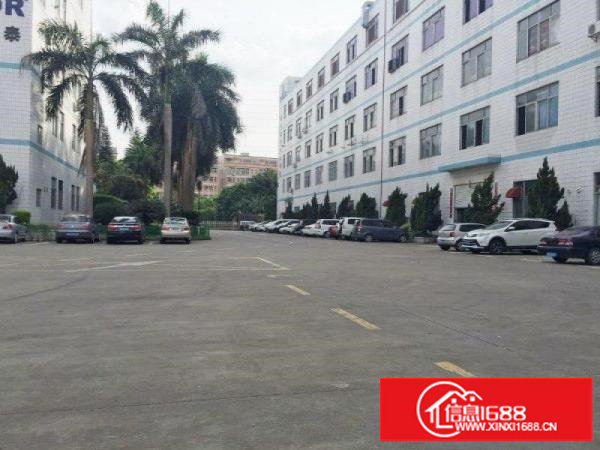 新生350平800平1500平厂房出租可分租