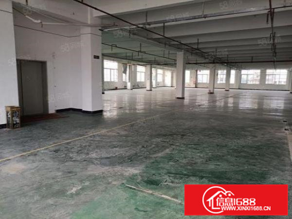 新推出低至11元起寮步标准厂房出租2400平方可分租精装修