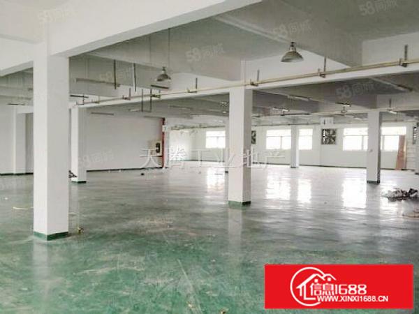 （出租）厂房陈村独院首层水泥结构仓库加工生产