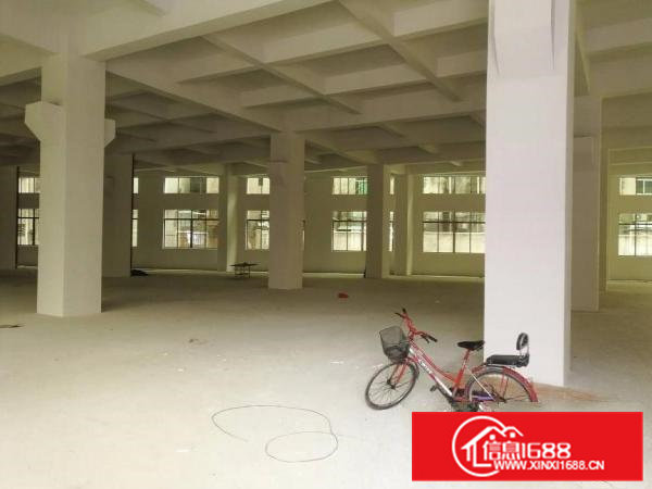 黄江全新工业园23000平米大小分租