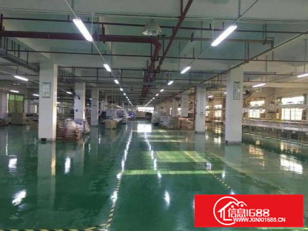 惠东县白花成熟工业区4层7560平米标准厂房出租