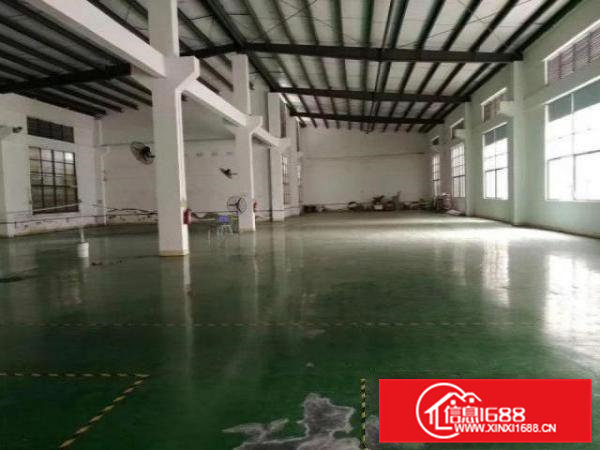 新出官井头钢构800带牛角滴水7米，带地坪漆，空地大水电齐