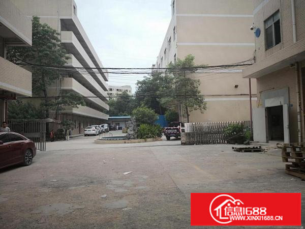 龙岗外环高速边上独院食品厂房15000平有天然气可分租