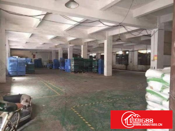 石排标准厂房1000方出租!现成办公室!位置佳!