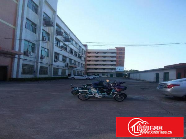 坪西市场一楼6米高独院厂房936平米