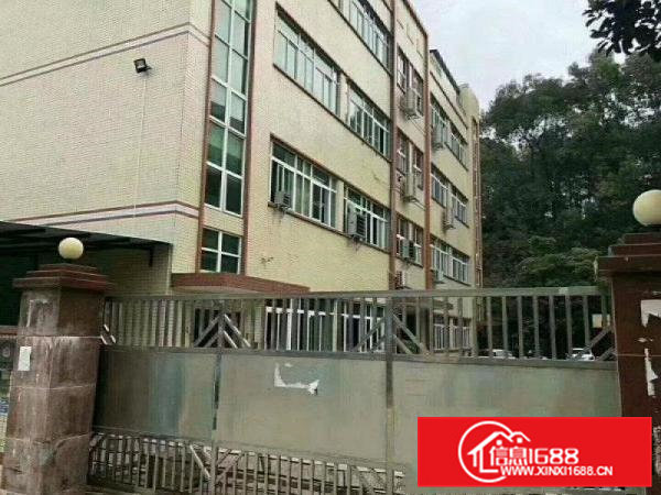 带装修带水电）凤岗九成新4000平方米独院厂房出租