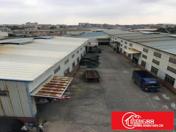 横沥镇原房东独院滴水8米单一层钢构空地大厂房出租