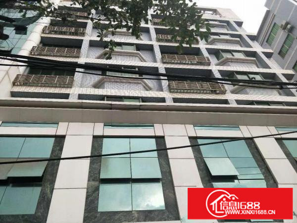 虎门新联新出一六层全新独栋厂房4200平