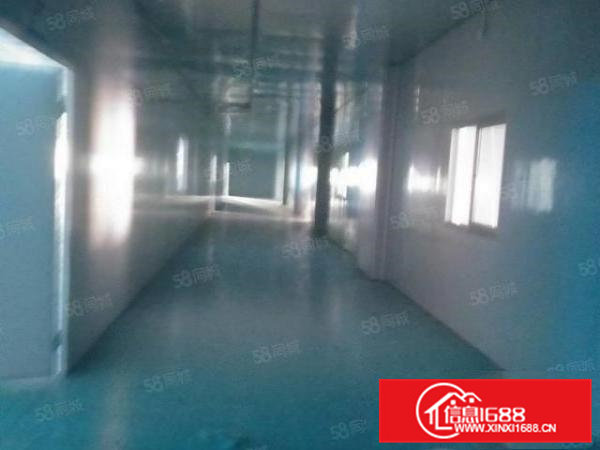 厂房出租大岭山国道边上楼上1500平方精装修带无尘车间厂房