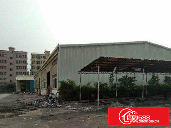 平湖良安1500平方单一层钢构厂房滴水8米高电量充足