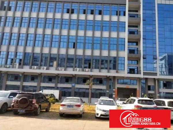 企石镇新出独门独院原房东厂房一楼3000平方