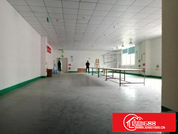 原房东直租凤岗金凤凰楼上现成装修厂房出租650平拎包入驻