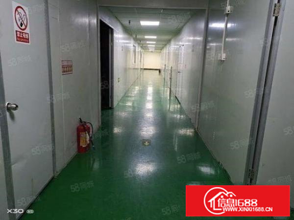 黄江北岸新出无尘车间1200方现成水电办公室无装让费公常路边