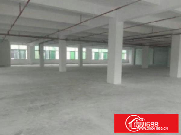 高埗工业园新出标准厂房800平，现成装修水电齐全新出独院厂