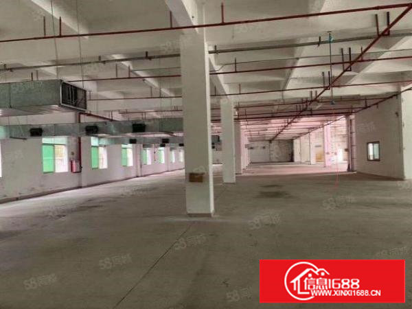 东莞塘厦大坪新出原房东1楼800平米出租，高6米租23元可办