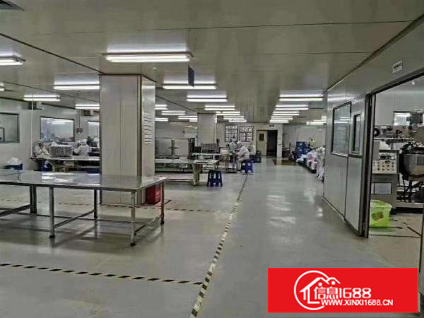 大朗镇无尘车间出租，水电齐全，拎包即可生产