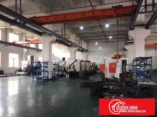 原房东低价厂房出租！清溪三星村无公摊带牛角一楼1800平方