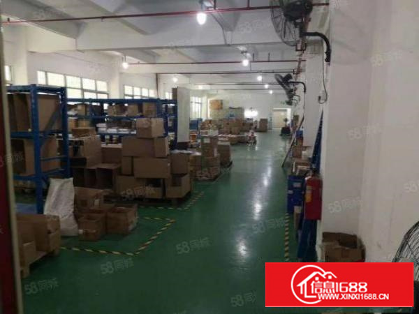 茶山原房东独门独院3000平方，形象很好