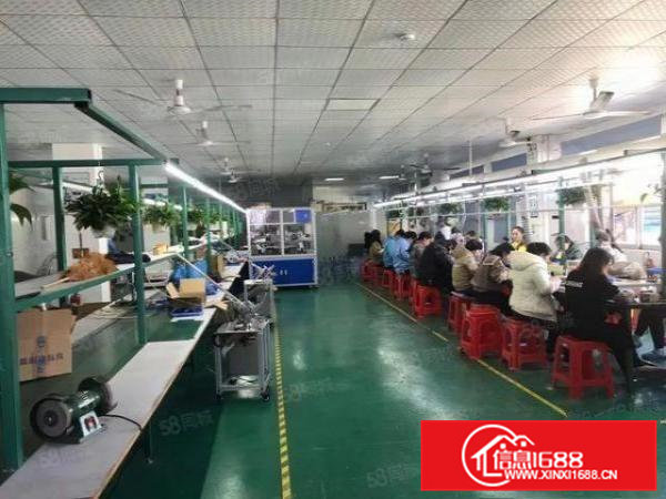 清溪新出精装修楼上700平米有地坪漆吊顶玻璃落地办公室水电齐