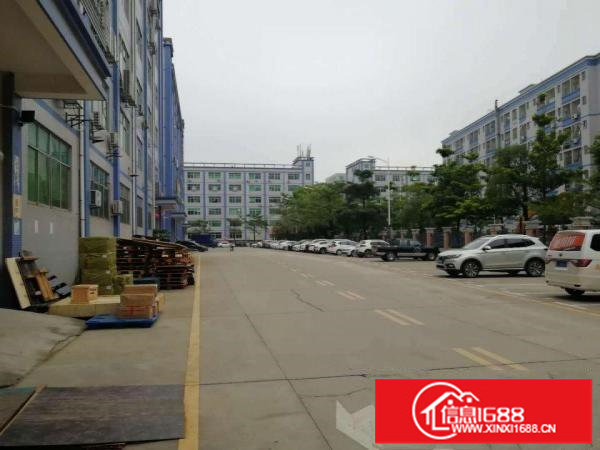 坂田主干道边原房东一楼1350平米诚招电商仓库类客户