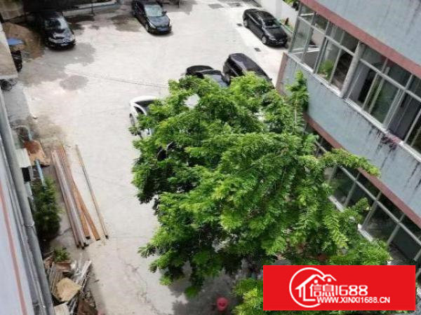 厂房出租，一手货源无中介，门口菜市场，幼儿园，独立停车场