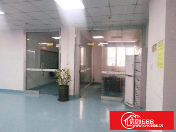 龙岗区坪地六联社区联盛路新出独院8300平招租