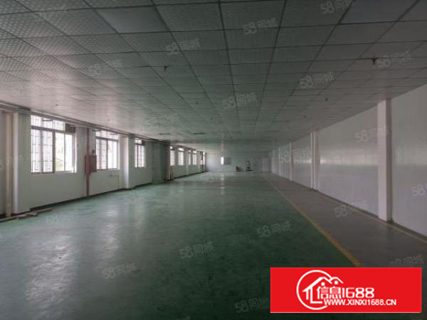 万江环城路外新出带现成环评1000平厂房（出租）