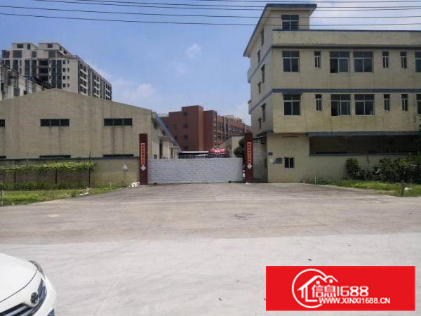 石排独院3600平方单一层厂房招租，可分租