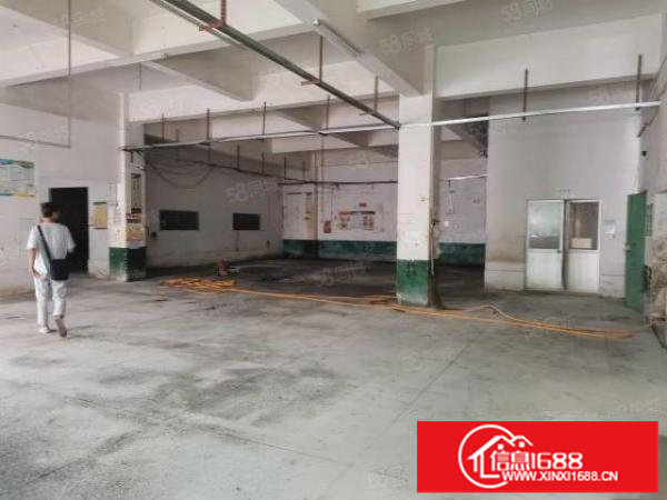 观澜桂月路旁新出一楼实际面积540平厂房层高5.8米行业不限