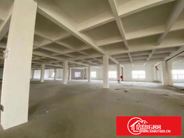 自家一手厂房，欢迎各位想开厂的朋友