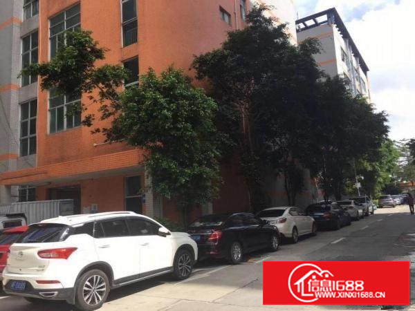 坂田都城跨境电商中心，50至4000平，可办租凭！