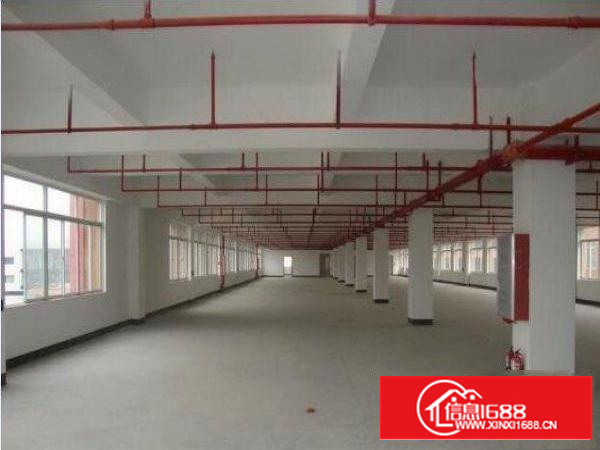 万江拔蛟窝新出独院标准厂房1-3层8000平方出租