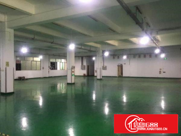 ~Hot：沙湖1000平米带地坪漆和照明一楼厂房：挨蛟乙塘~