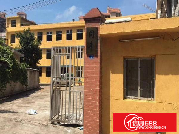 常平元江元独院厂房3600平米招租，空地大位置好