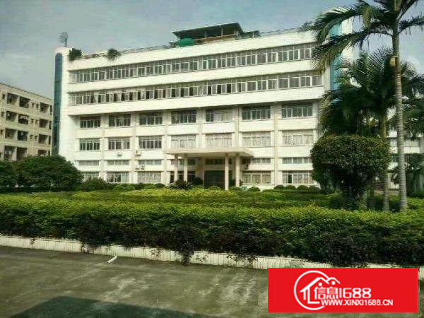 常平10万工业园厂房出租大小分租