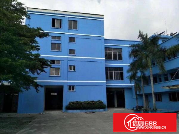 高埗工业区标准一楼500平方招租配电按需消防水电齐全交通方便