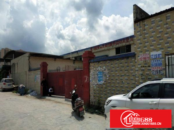 新圩镇原房东独院钢构1578平方可办环评水电齐全