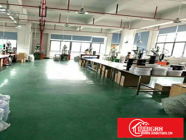 大朗洋乌原房东一楼厂房480平出租，有装修，租金优惠