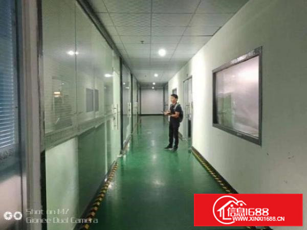 出租高埗镇高埗城区300平方厂房，精装修