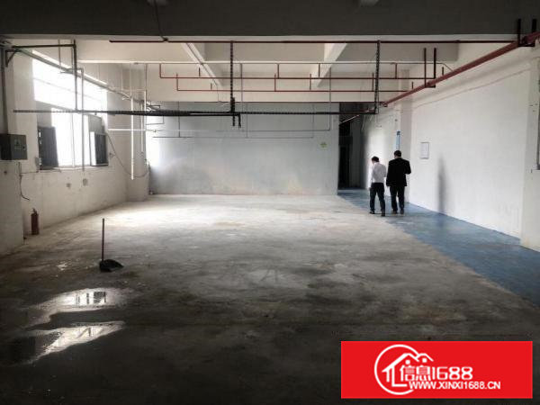 凤岗五联近观澜新出楼上780平带无尘车间办公室