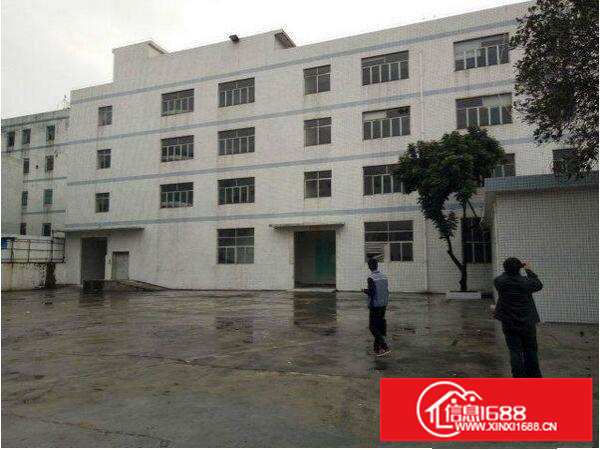 龙岗区坂田新出800带装修