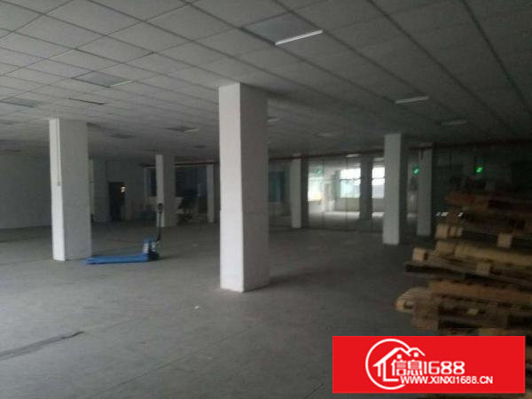 出租坂田上雪大面积的厂房仓库（大小可分租）