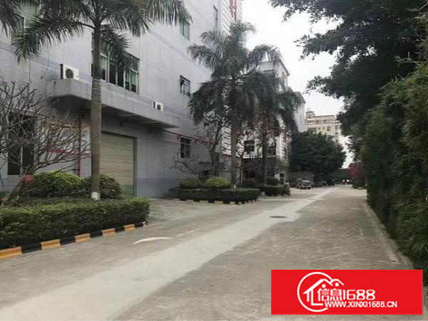 观澜新出原房东厂房，12656平方独栋