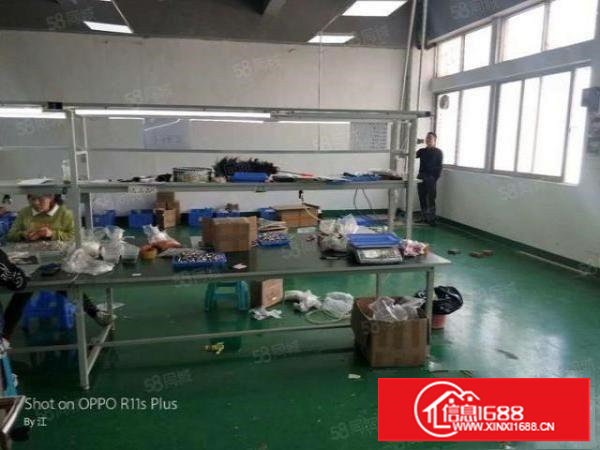 锦厦河南工业区新出楼上550平豪华装修厂房出租