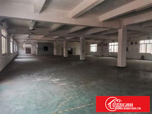 顺德区乐从镇道教工业区独门独院厂房12层4500平方