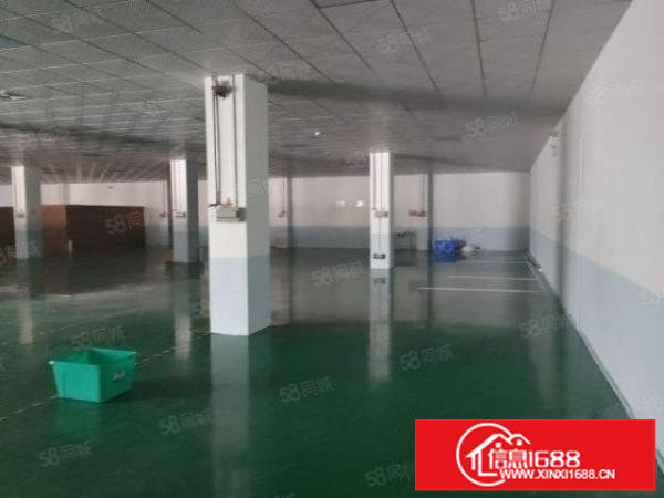 新空出2000平米，可分租，有红本可办环坪，500起租