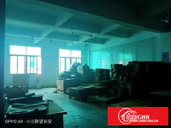 （非中介）业主直租厂房